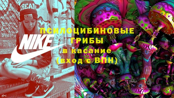 PSILOCYBIN Белоозёрский