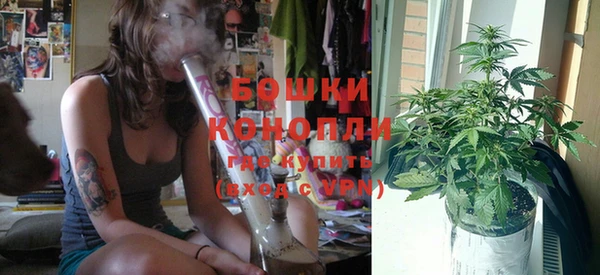 PSILOCYBIN Белоозёрский