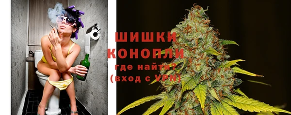 PSILOCYBIN Белоозёрский