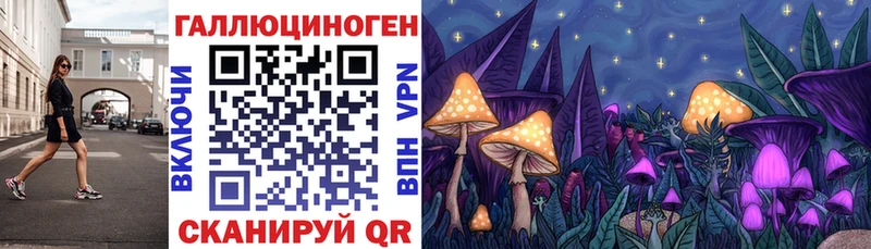 как найти   Саяногорск  Псилоцибиновые грибы мухоморы 
